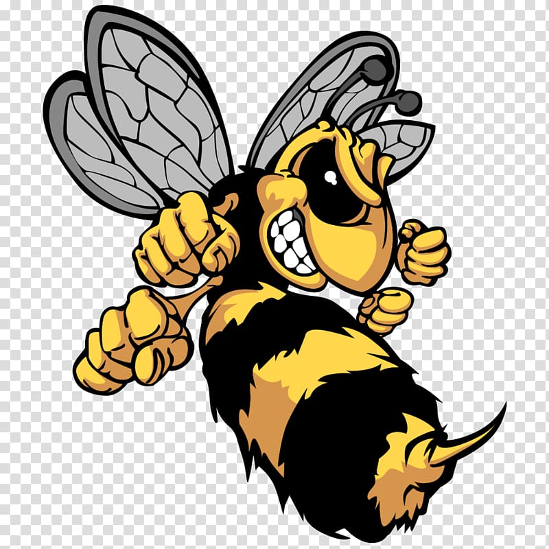 bee illustration, Bee Hornet Cartoon , Fist head cartoon bumblebee transparent background PNG clipart