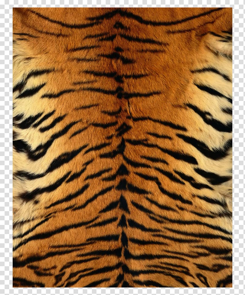 tiger pelt, Siberian Tiger Leopard Fur Texture Pattern, Tiger skin pattern children transparent background PNG clipart