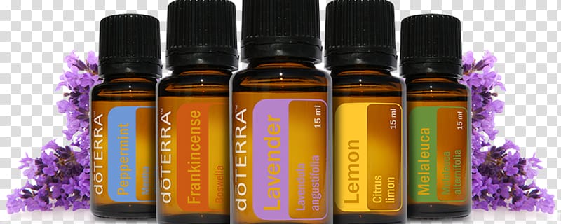 Essential oil Young Living doTerra Aromatherapy, essential oil transparent background PNG clipart