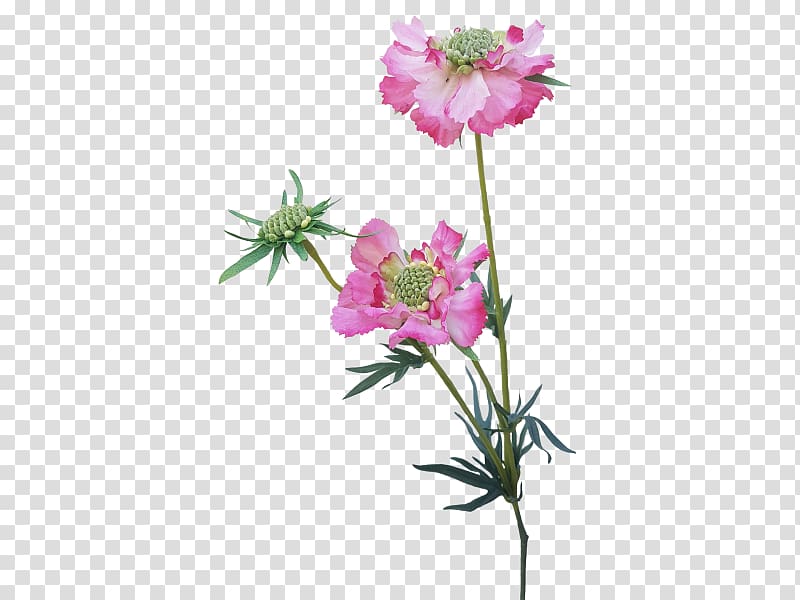 Pink Cut flowers Plant stem Herbaceous plant, artificial flowers mala transparent background PNG clipart