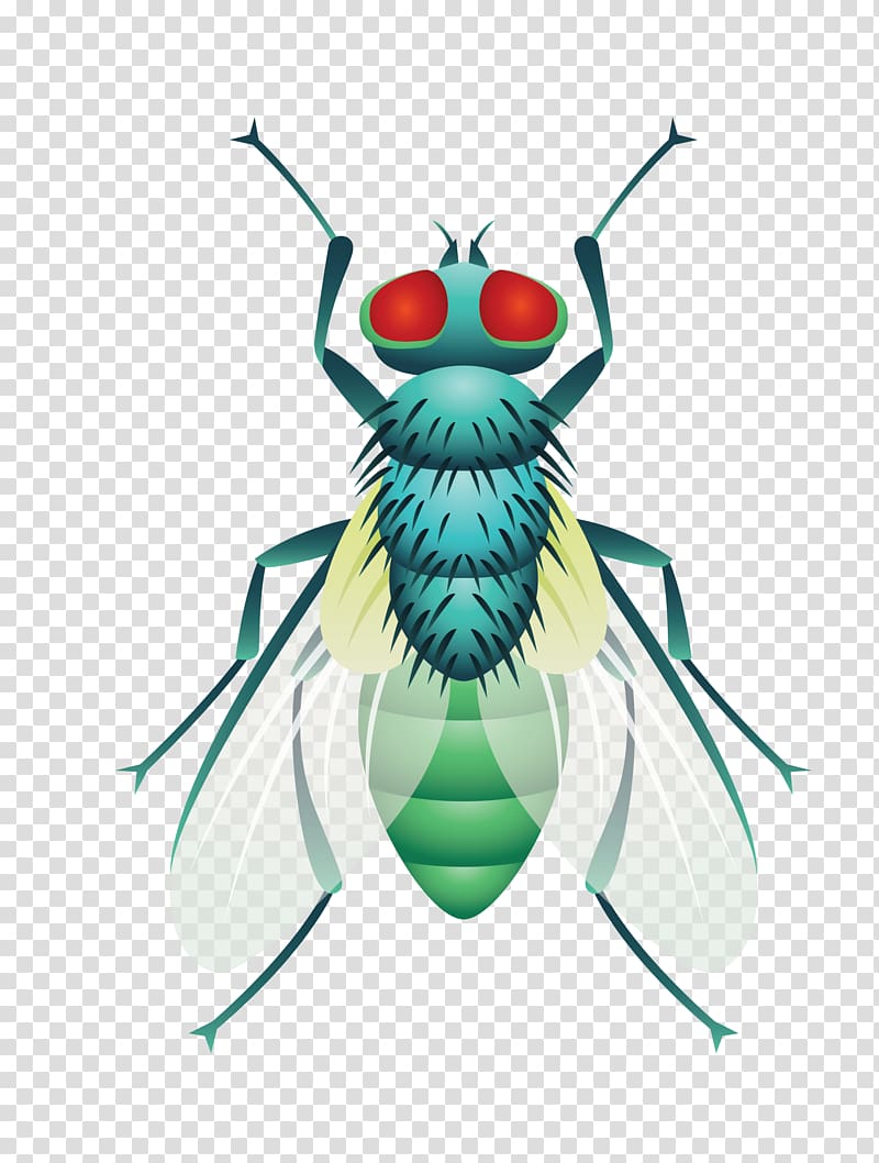Beetle Cockroach Fly, green lifelike insect flies transparent background PNG clipart