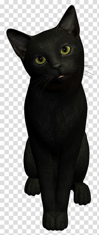 Black cat Bombay cat Korat Chartreux Malayan cat, witch cat transparent background PNG clipart