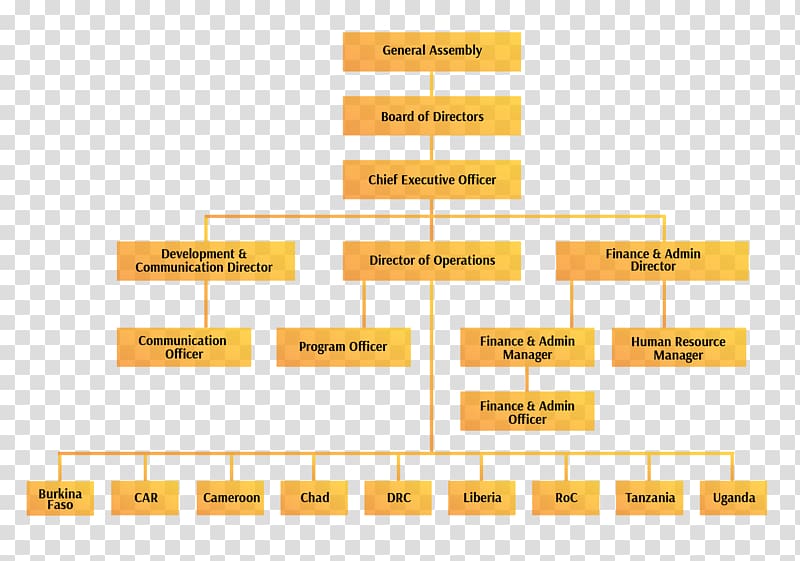 Organizational structure Organizational chart Management, costco organizational structure transparent background PNG clipart