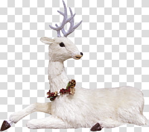 Reindeer transparent background PNG clipart thumbnail