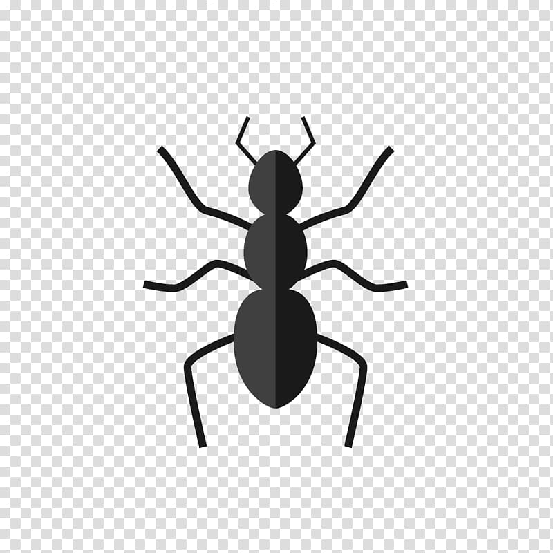 Insect Ant Termite Pest , non toxic transparent background PNG clipart