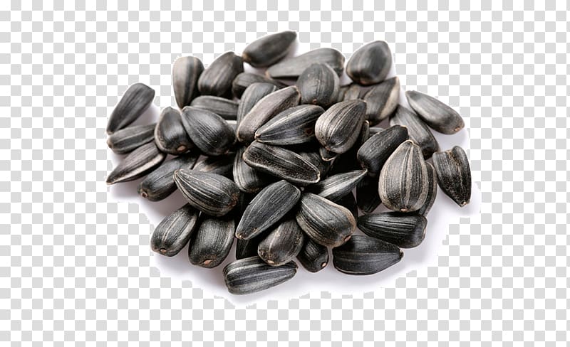 Common sunflower Sunflower seed Oil, sunflower seeds transparent background PNG clipart