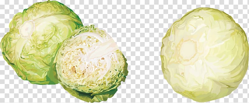 Cabbage Vegetable Kohlrabi Fruit , Green cabbage transparent background PNG clipart