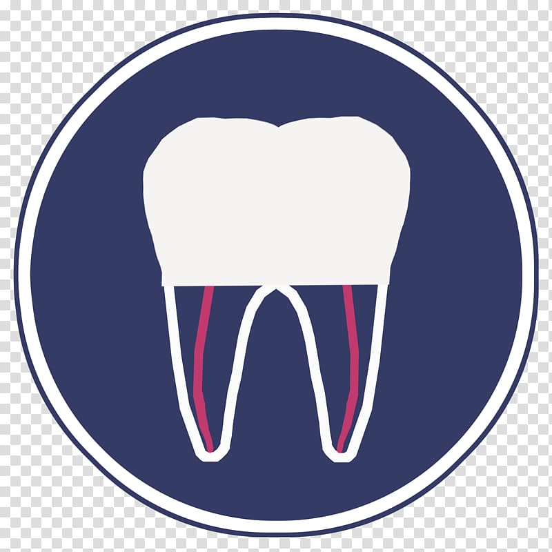 Tooth Root canal Crown Pulp Endodontic therapy, crown transparent background PNG clipart