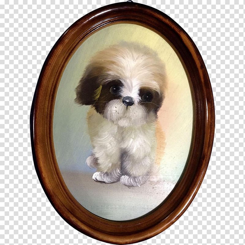 Shih Tzu Chinese Imperial Dog Puppy Dog breed Toy dog, puppy transparent background PNG clipart