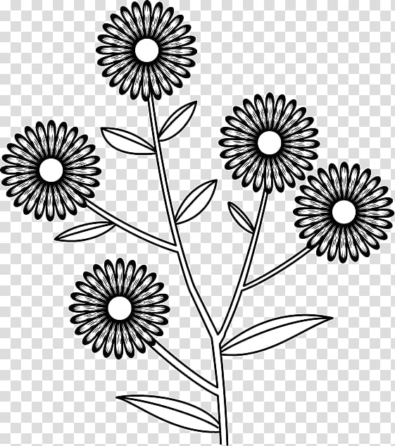 Cut flowers Floral design Chrysanthemum , aster flower transparent background PNG clipart