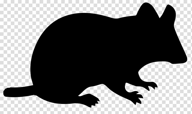 Computer mouse Mickey Mouse Silhouette, bird fleas transparent background PNG clipart