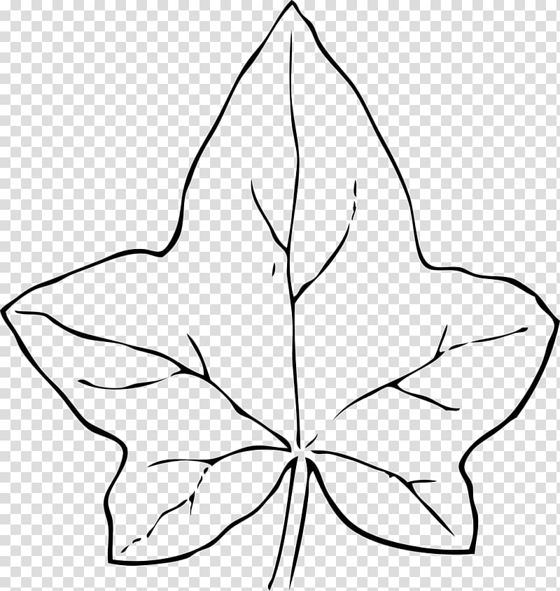 Leaf Common ivy , leaf outline transparent background PNG clipart