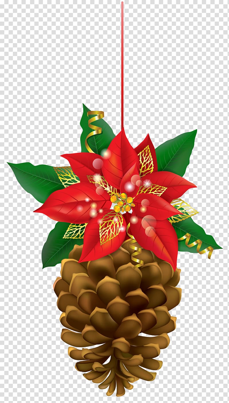 Poinsettia Conifer cone Christmas , christmas transparent background PNG clipart