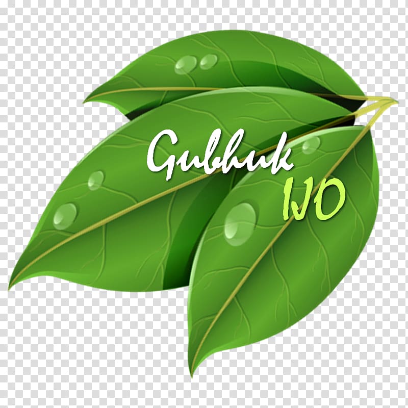 Leaf Neolamarckia cadamba Agarwood Crop Green, Leaf transparent background PNG clipart
