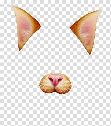 Cat graphic filter , Cat transparent background PNG clipart