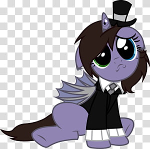 Pony Cat Horse Dog, Cat transparent background PNG clipart thumbnail