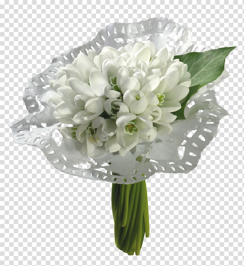 Cape jasmine Snowdrop Flower Desktop , snowdrop transparent background PNG clipart