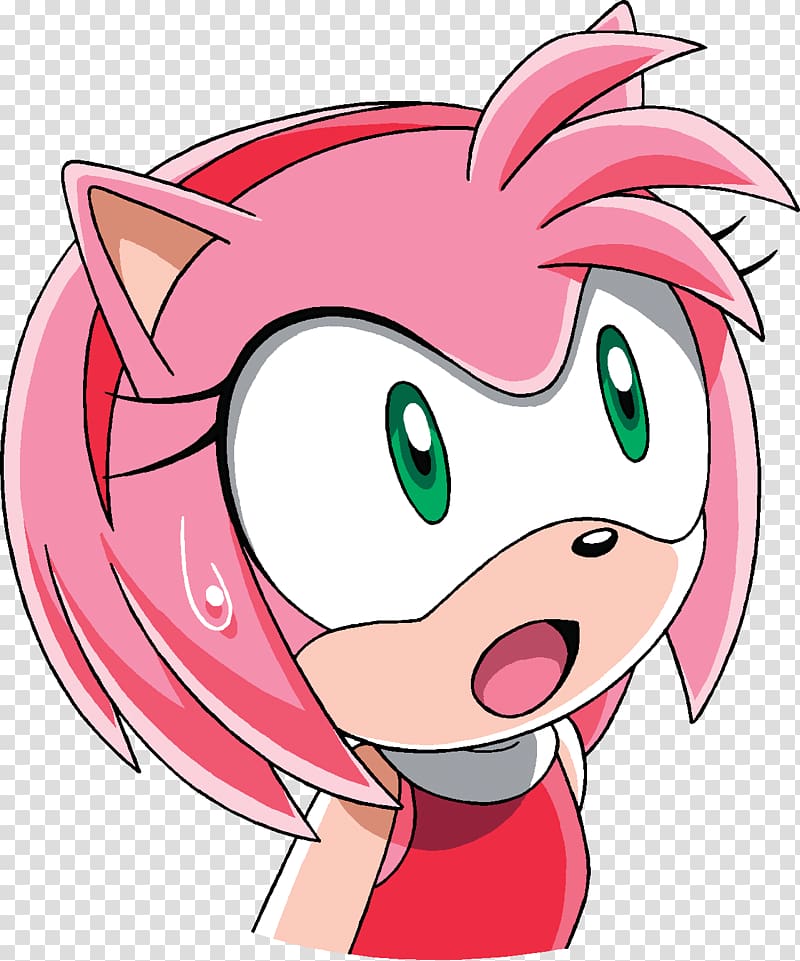 Amy Rose Sonic & Sega All-Stars Racing Sonic CD SegaSonic the Hedgehog Sonic  Heroes, amy rose the hedgehog transparent background PNG clipart