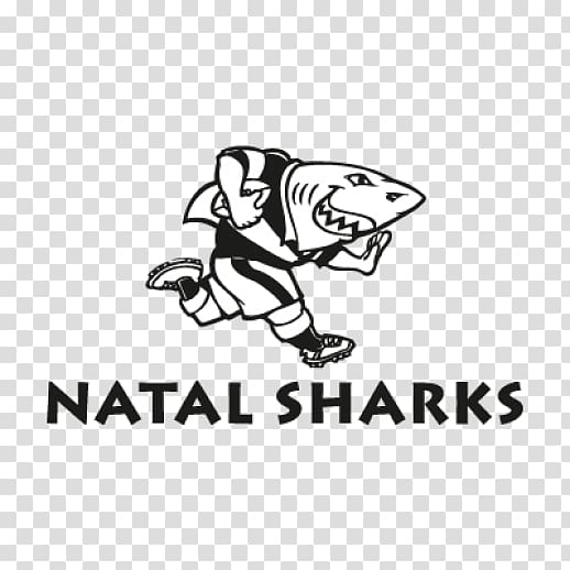 Sharks 2016 Super Rugby season 2017 Super Rugby season South Africa national rugby union team Lions, sharks transparent background PNG clipart