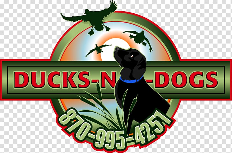 Duck Waterfowl hunting Hunting dog Water bird, duck transparent background PNG clipart