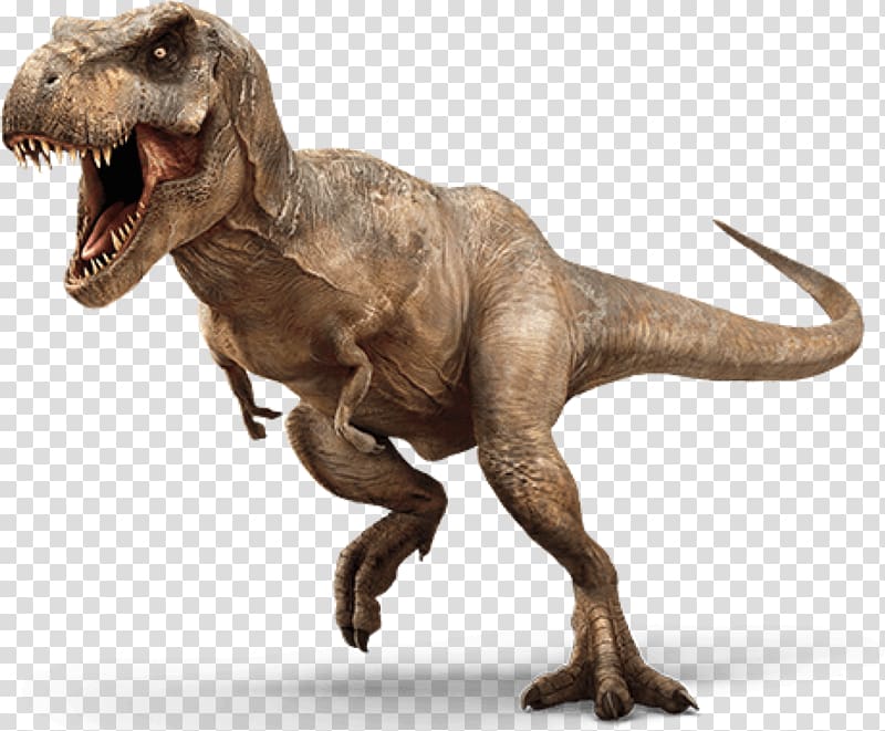 Jurassic World Evolution Jurassic Park: The Game Tyrannosaurus Portable Network Graphics Dinosaur, dinosaur transparent background PNG clipart