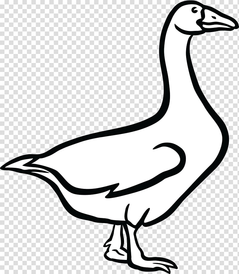 Canada Goose Duck , goose transparent background PNG clipart