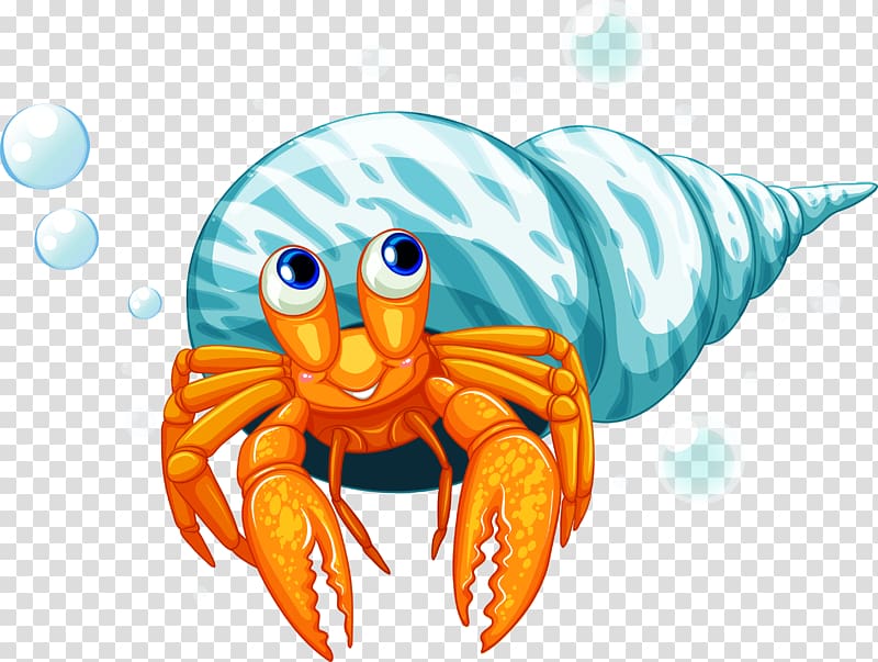 Hermit crab , crab transparent background PNG clipart