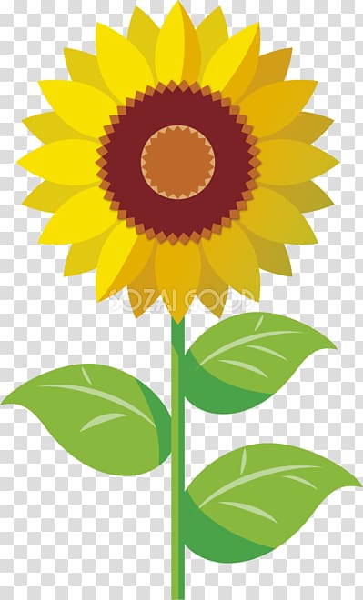 Drawing Art museum Wikia, sunflower Cartoon transparent background PNG clipart