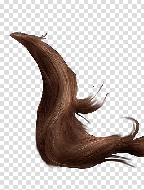 Horse Grooming Tail Mane Drawing, horse transparent background PNG clipart