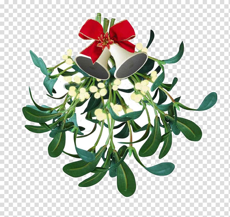 Mistletoe Kissing traditions Phoradendron tomentosum Christmas, mistletoe transparent background PNG clipart