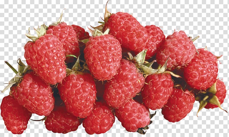 Red raspberry, Rraspberry transparent background PNG clipart