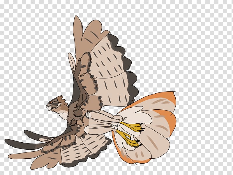 Owl Wing Insect Cartoon, owl transparent background PNG clipart