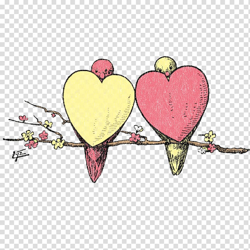 Love , love birds transparent background PNG clipart