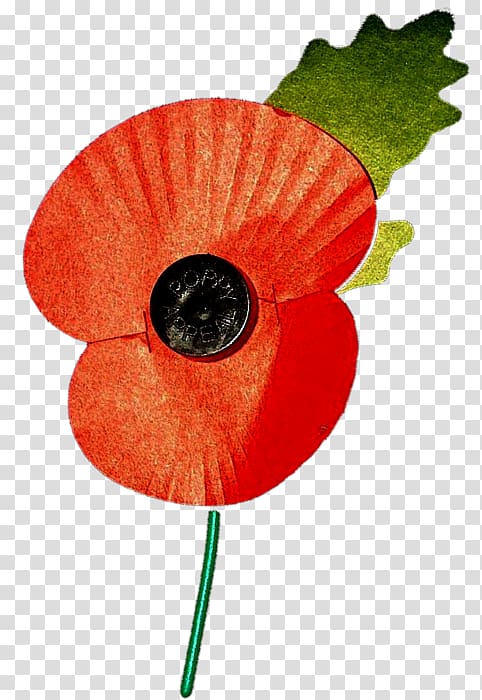 Remembrance poppy The Royal British Legion Leaf Petal Plant stem, Remembrance Sunday transparent background PNG clipart