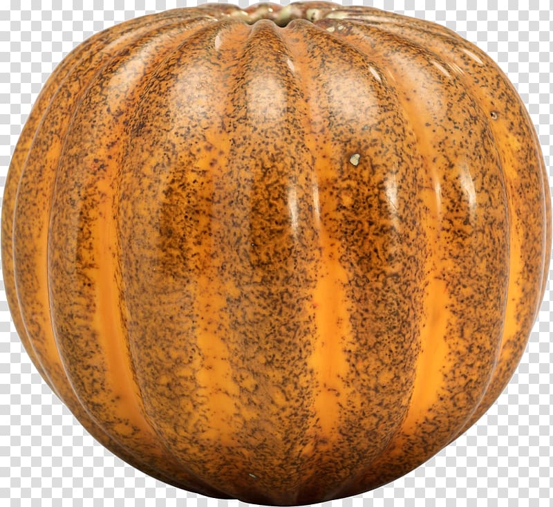 Pumpkin pie Crookneck pumpkin Field pumpkin Cucurbita maxima, Pumpkin transparent background PNG clipart