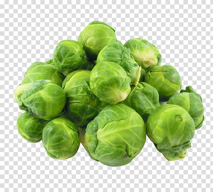 Brussels sprout Red cabbage Broccoli Cauliflower, Cabbage material transparent background PNG clipart