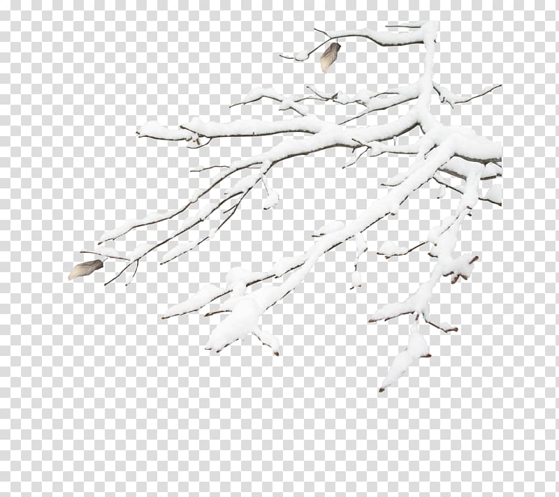 White Pattern, Snow branch decoration transparent background PNG clipart