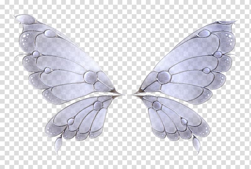 Butterfly Wing Feather Insect, wings transparent background PNG clipart