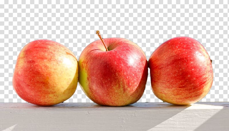 Painting Food Paradise apple, others transparent background PNG clipart