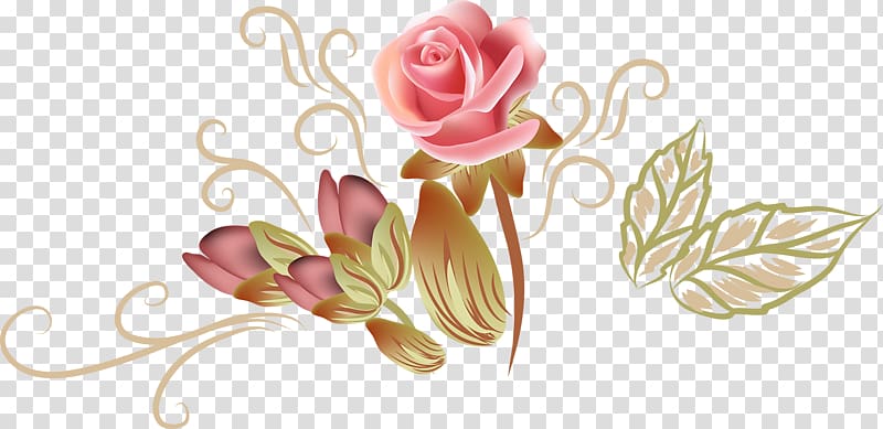 pink and green flower illustration, Garden roses Beach rose, Hand-painted roses transparent background PNG clipart