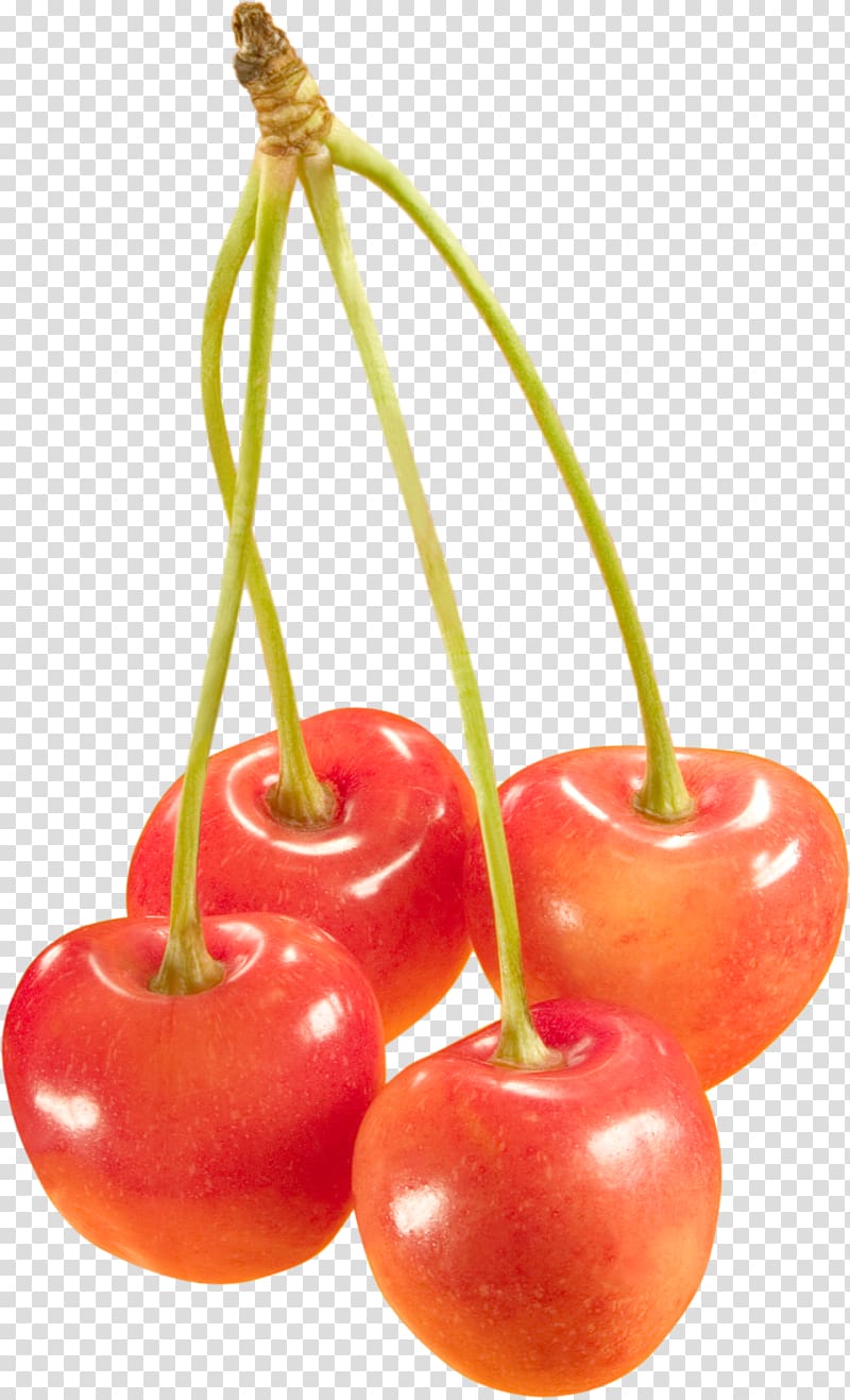 Sweet Cherry Cerasus Fruit, Cherry transparent background PNG clipart