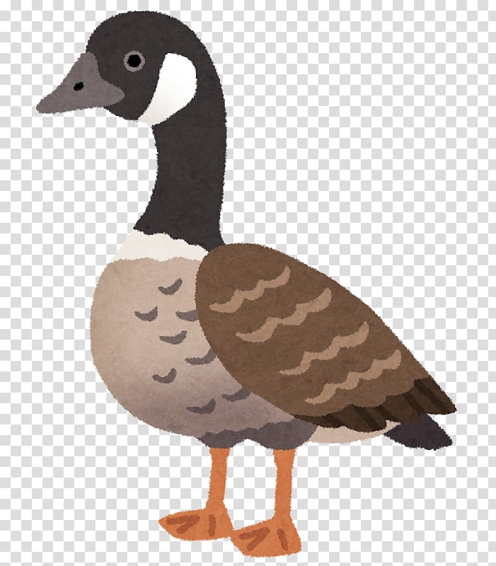 Cackling goose Duck Nene Ganso, goose transparent background PNG clipart