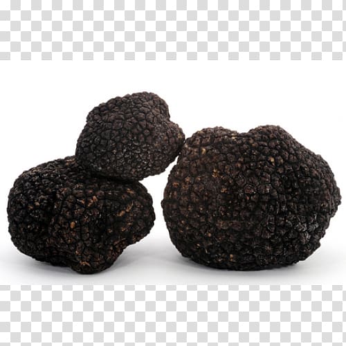 Périgord black truffle Tuber aestivum Piedmont white truffle Sauce Périgueux, others transparent background PNG clipart