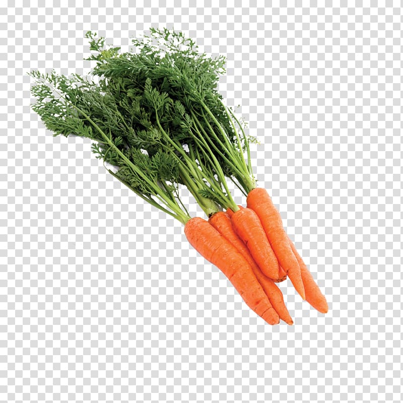 Baby carrot Radish, carrot transparent background PNG clipart
