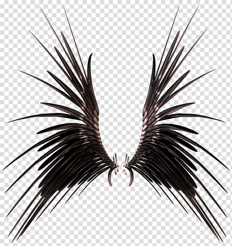 Wing, Creative black wings transparent background PNG clipart