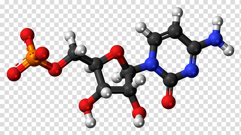 Thymidine monophosphate Deoxyuridine monophosphate Adenosine monophosphate, Cytidine transparent background PNG clipart