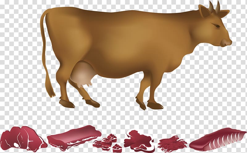 Dairy cattle Beef, A cow transparent background PNG clipart