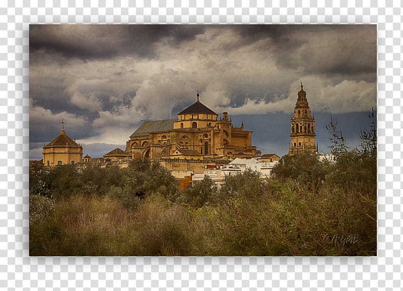 Mosque of Cordoba Medieval architecture Cathedral Monastery, al aqsa mosque transparent background PNG clipart