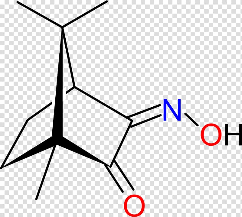 bornane-2,3-dione camphorquinone 3-oxime Chemistry Chemical compound, camphor transparent background PNG clipart