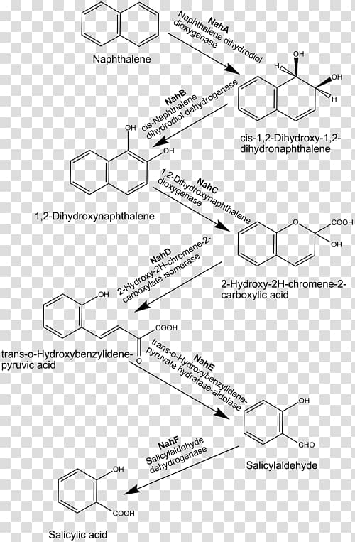 Naphthalene Polycyclic aromatic hydrocarbon Biodegradation, others transparent background PNG clipart